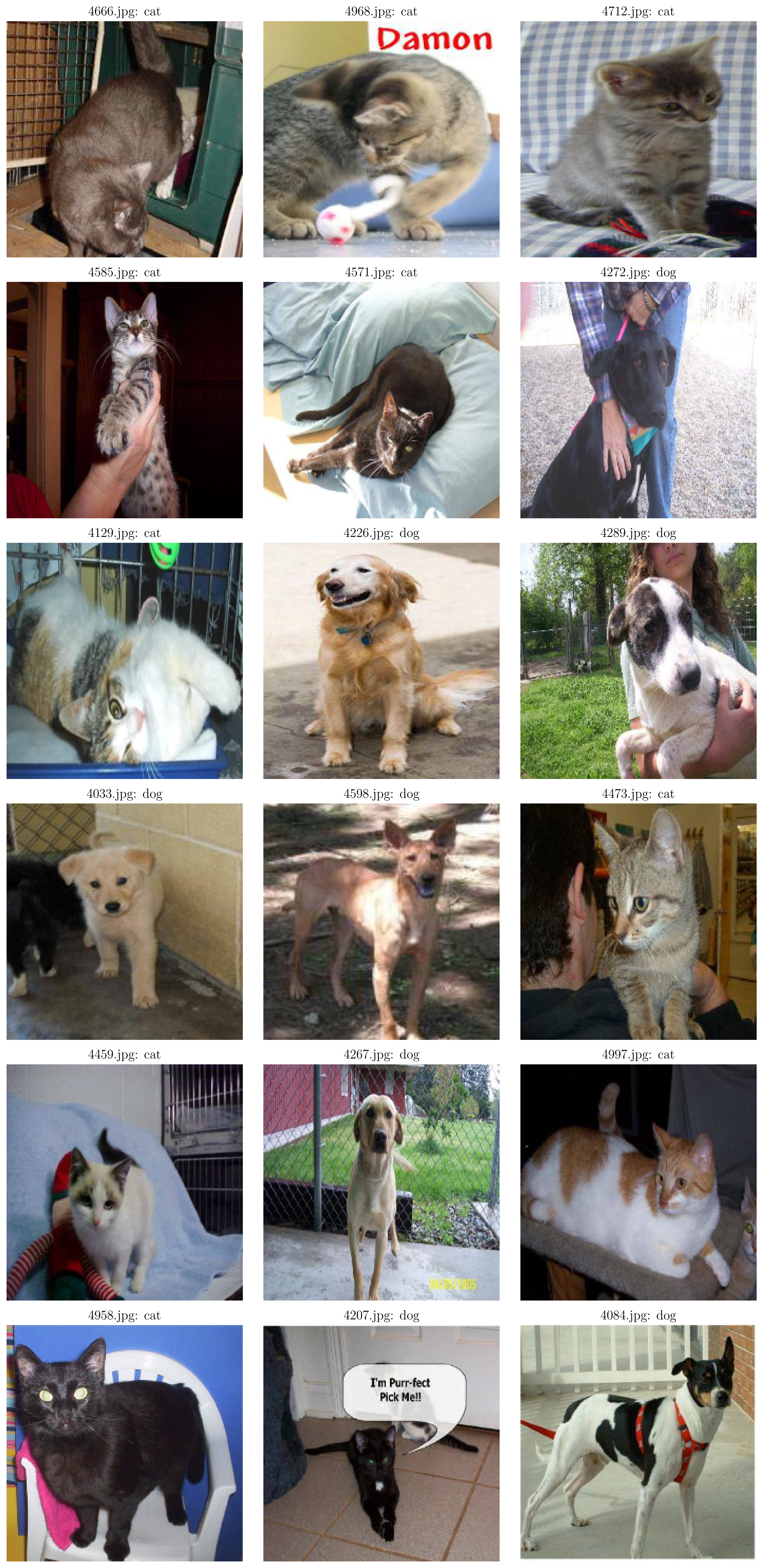 Sample filenames and predictions of cat and dog images