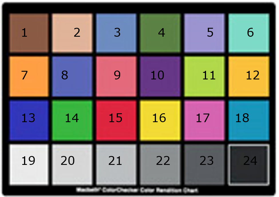 Reference Macbeth color chart