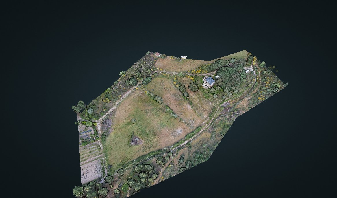 Obras Enguias
