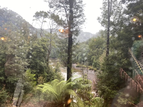 Views from the train
