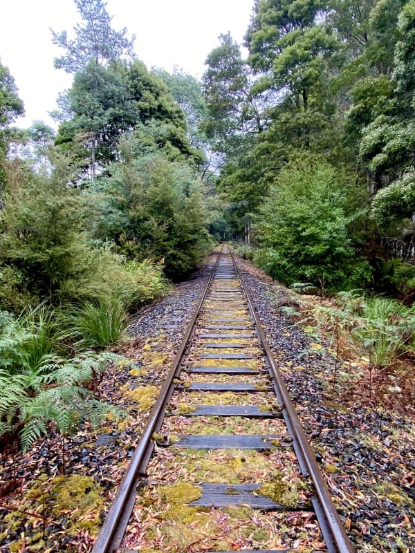 Railtrack Riders
