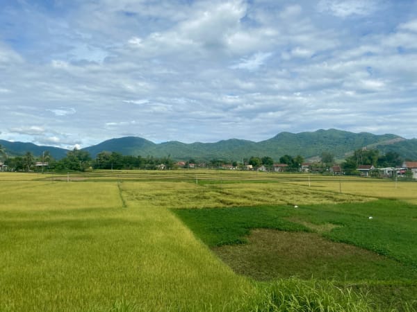 Phù Mỹ District