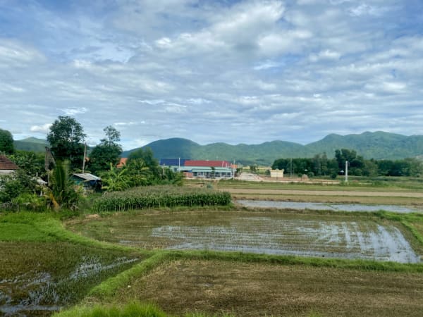 Phù Mỹ District