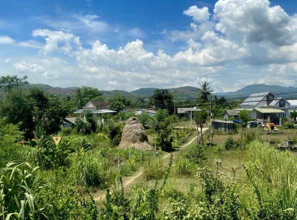 Đức Phổ District