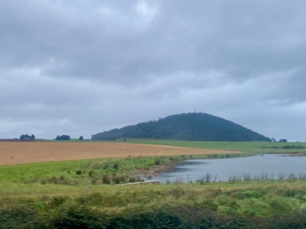 Views from the train