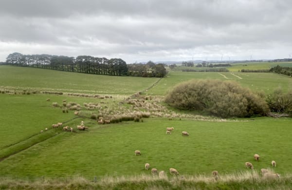 Views from the train