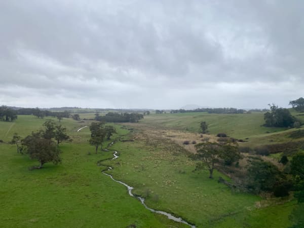 Views from the train