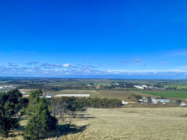 Views from the train