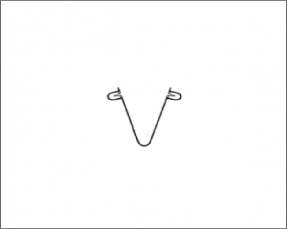 Spring Pin, view 1