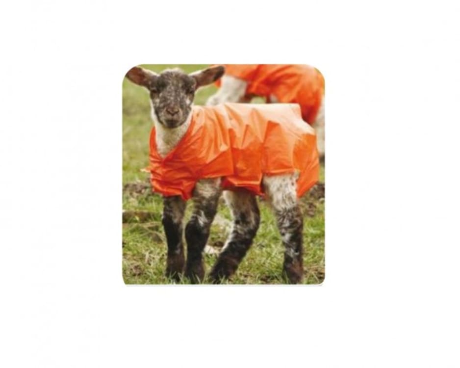 Lamb Jackets, view 1