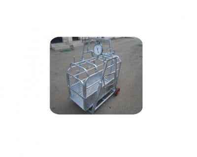 Weighing Scales, Sheep Hurdles and Panels