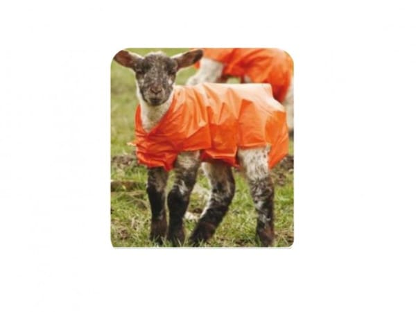 Lamb Jackets