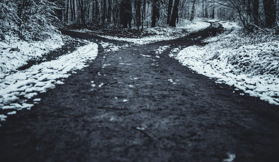 Landscape photography of splitted road surrounded with trees
