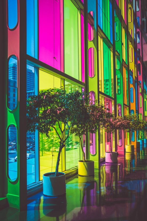 A window-covered wall of a building, photographed from the interior. Each pane of glass is a vibrant shade of blue, magenta, or yellow, casting colorful light into the building.
