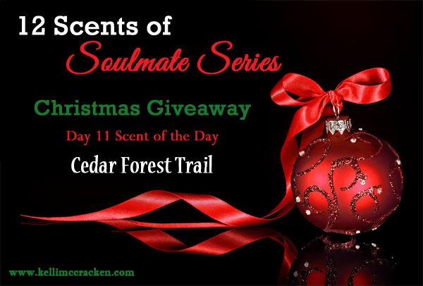 Christmas Giveaway Day11