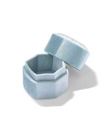 Davis Small Case in Light Blue