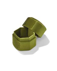 Davis Small Case in Peridot