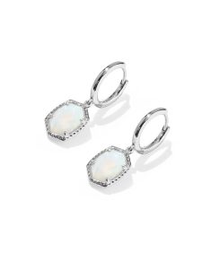Daphne Frame Huggie Earrings