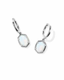 Daphne Frame Huggie Earrings