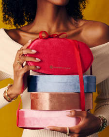 Danielle Medium Case