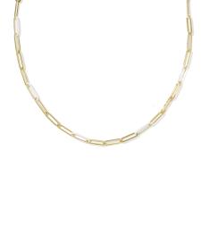 Courtney Gold Enamel Link and Chain Necklace