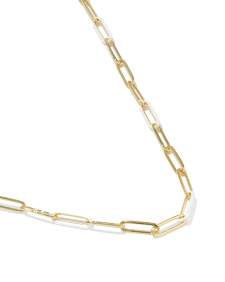Courtney Gold Enamel Link and Chain Necklace