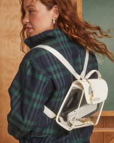 Small Clear Backpack
