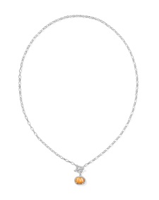 Pumpkin Silver Link and Chain Necklace