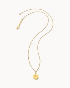 Letter Z Coin Pendant Necklace in 18k Gold Vermeil
