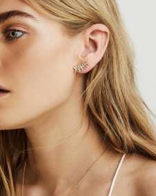 Laurie Ear Climbers