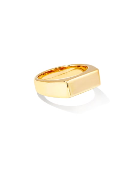Hudson Signet Ring in 18k Gold Vermeil