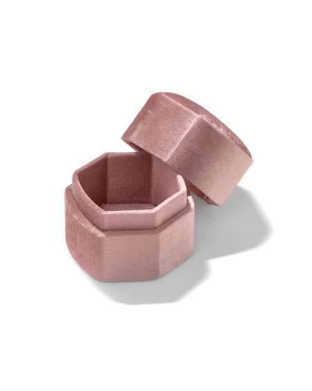 Davis Small Case in Mauve