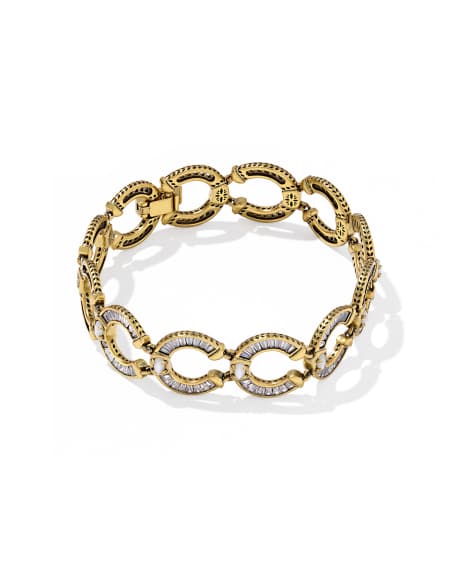 Noble Horseshoe Link and Chain Bracelet 
