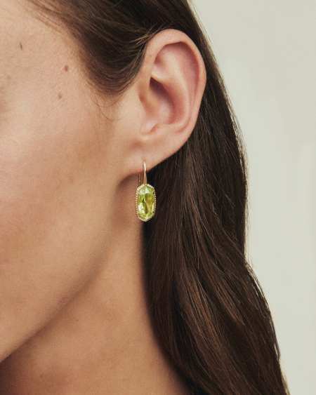 Lee Luxe Gold Drop Earrings 