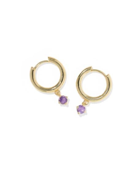 Maisie 18k Gold Vermeil February Huggie Earrings