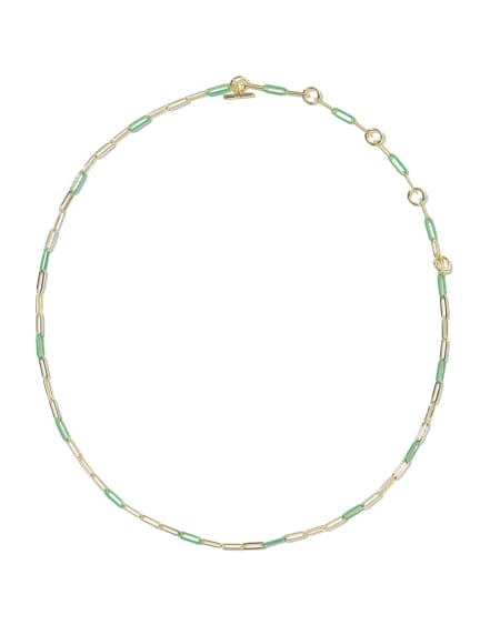 Courtney Gold Enamel Link and Chain Necklace