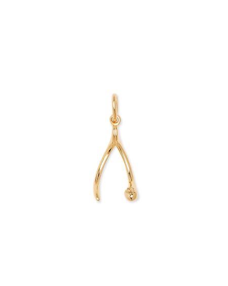 Wishbone Charm