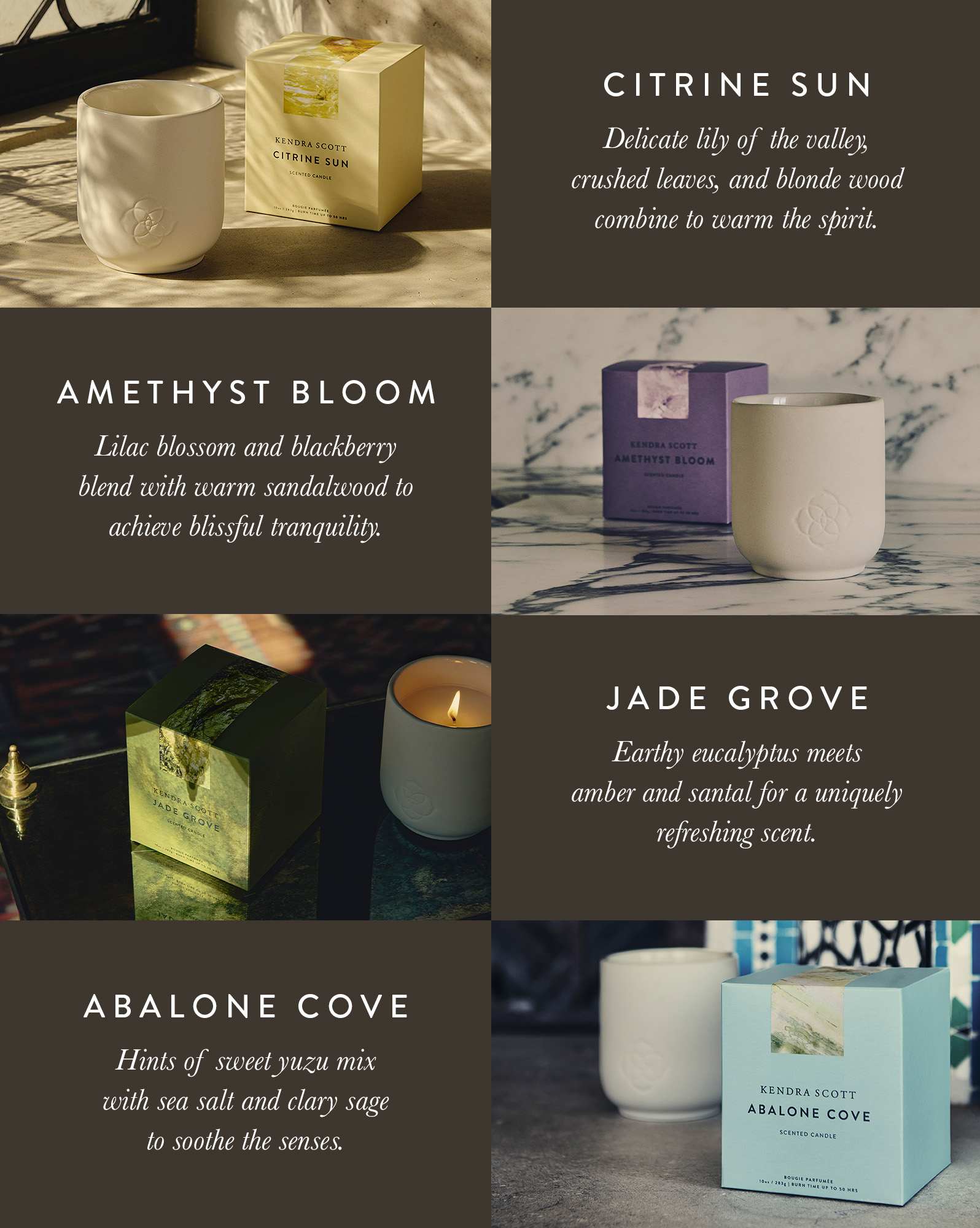 Abalone Cove Tumbler Candle