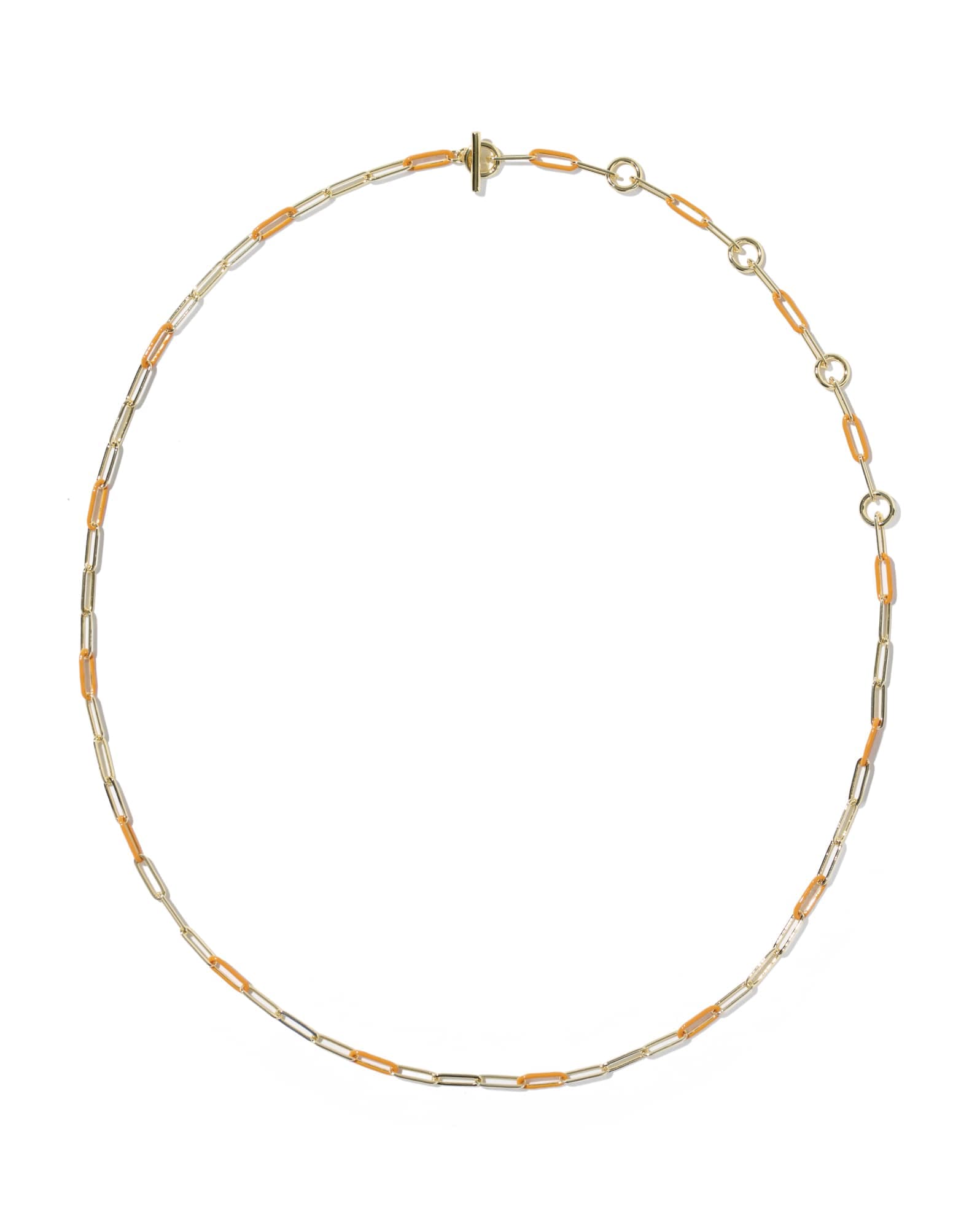 Courtney Gold Enamel Link and Chain Necklace