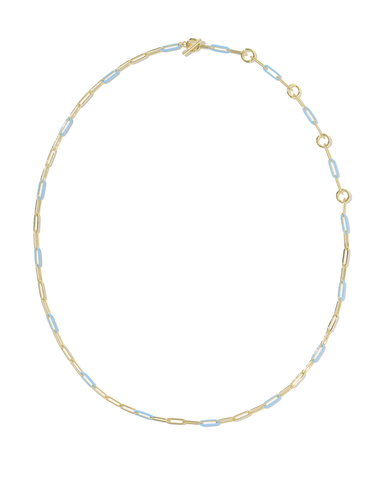 Courtney Gold Enamel Link and Chain Necklace