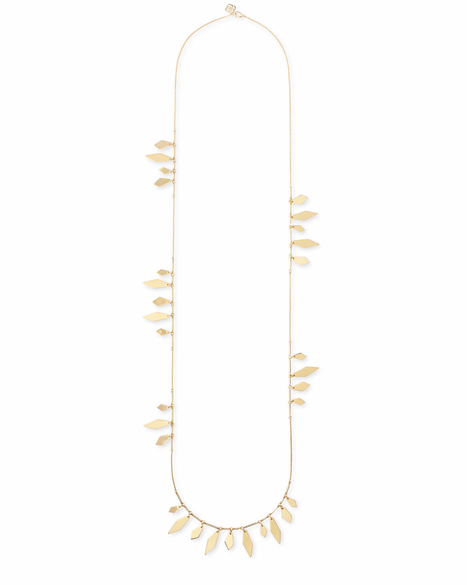 Blaine Long Necklace in Gold