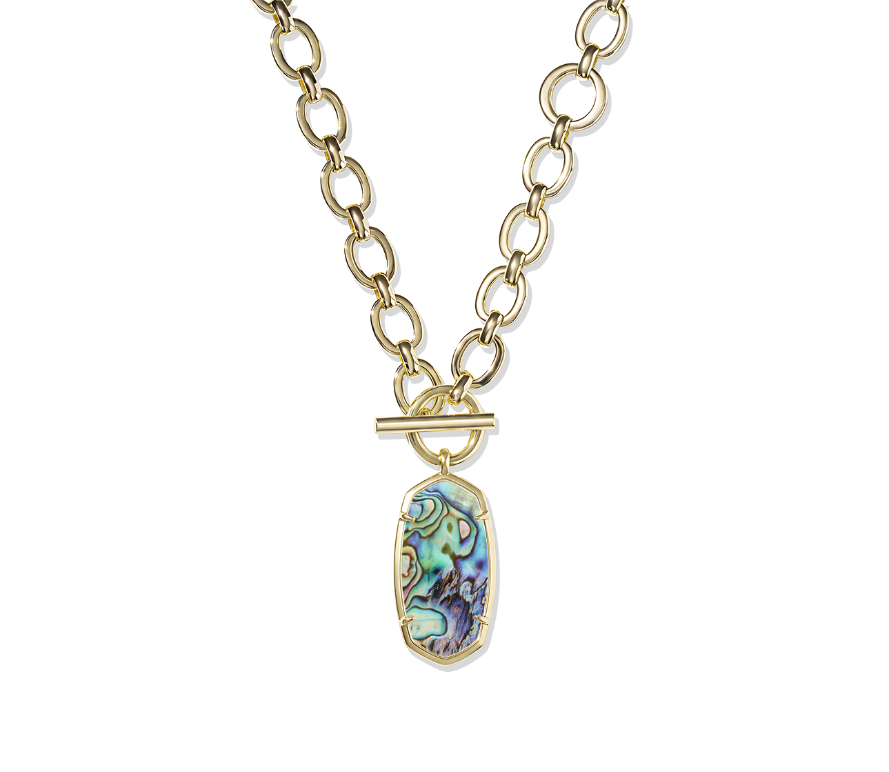 Danielle Link and Chain Long Pendant Necklace