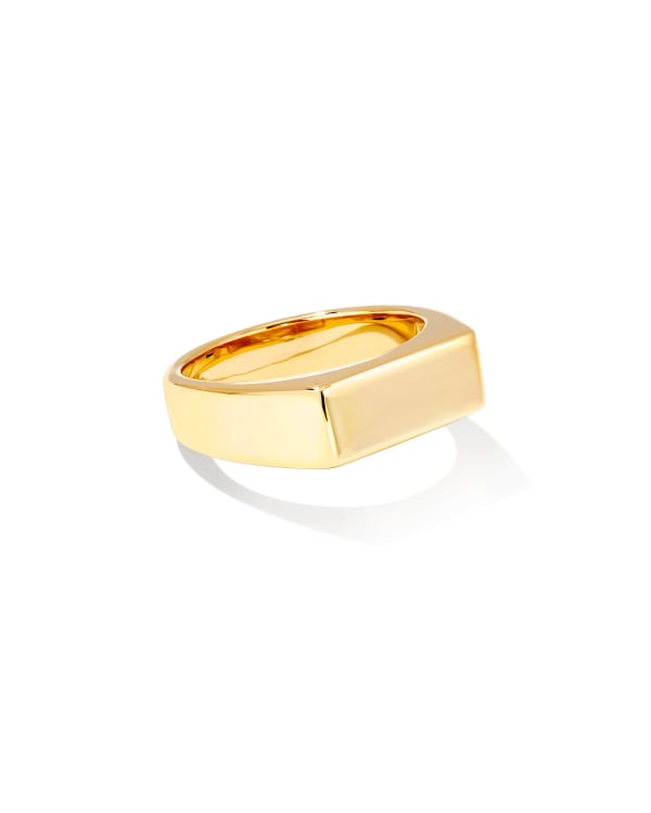 Hudson Signet Ring in 18k Gold Vermeil