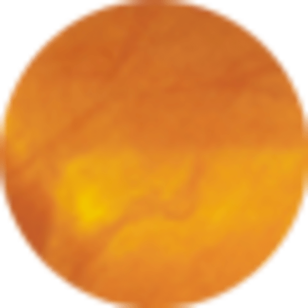 Marbled Amber Illusion