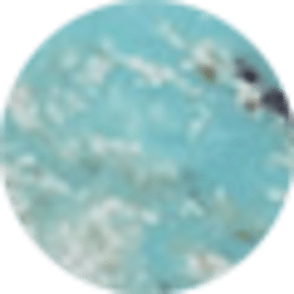 Variegated Turquoise Magnesite