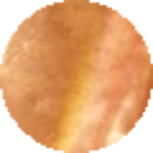 Orange Iridescent Abalone