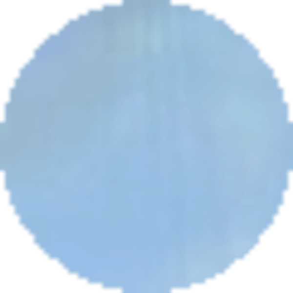 Sky Blue Iridescent Abalone