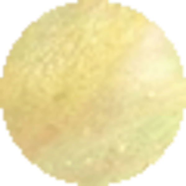 Yellow Iridescent Abalone