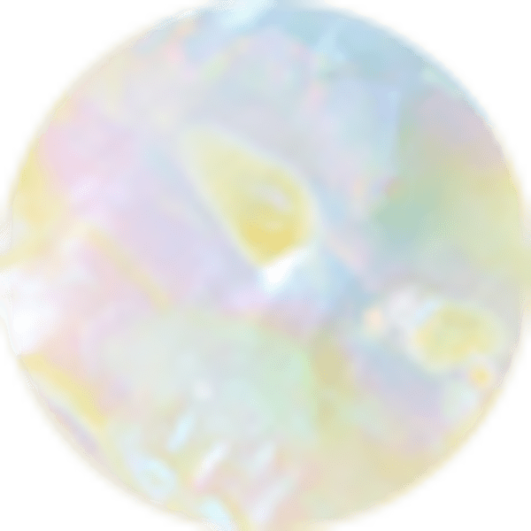 Iridescent Abalone