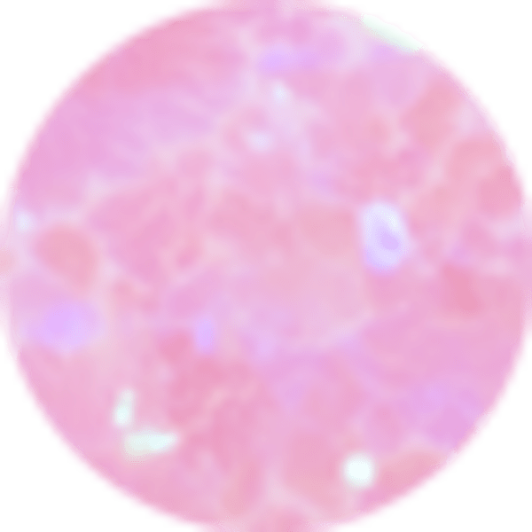 Carnation Lab Grown Opal